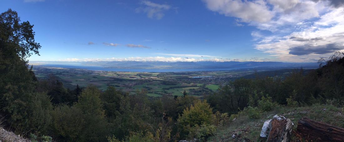 Traumhafter Ausblick auf den Genfersee