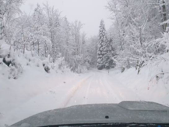 So macht Fahren im Schnee Spass!