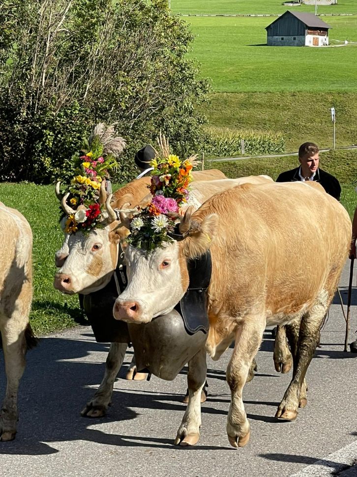 Die Engländer flippen jeweils fast aus, wenn sie so etwas antreffen