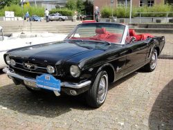 fahrzeug-ford-mustang-cabriolet-V8-02-250x188.jpg